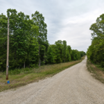 Gallery thumbnail: 1.00 Acres • Near Lakes & Golf Courses • Land for Sale in Izard County, Arkansas • AR0009