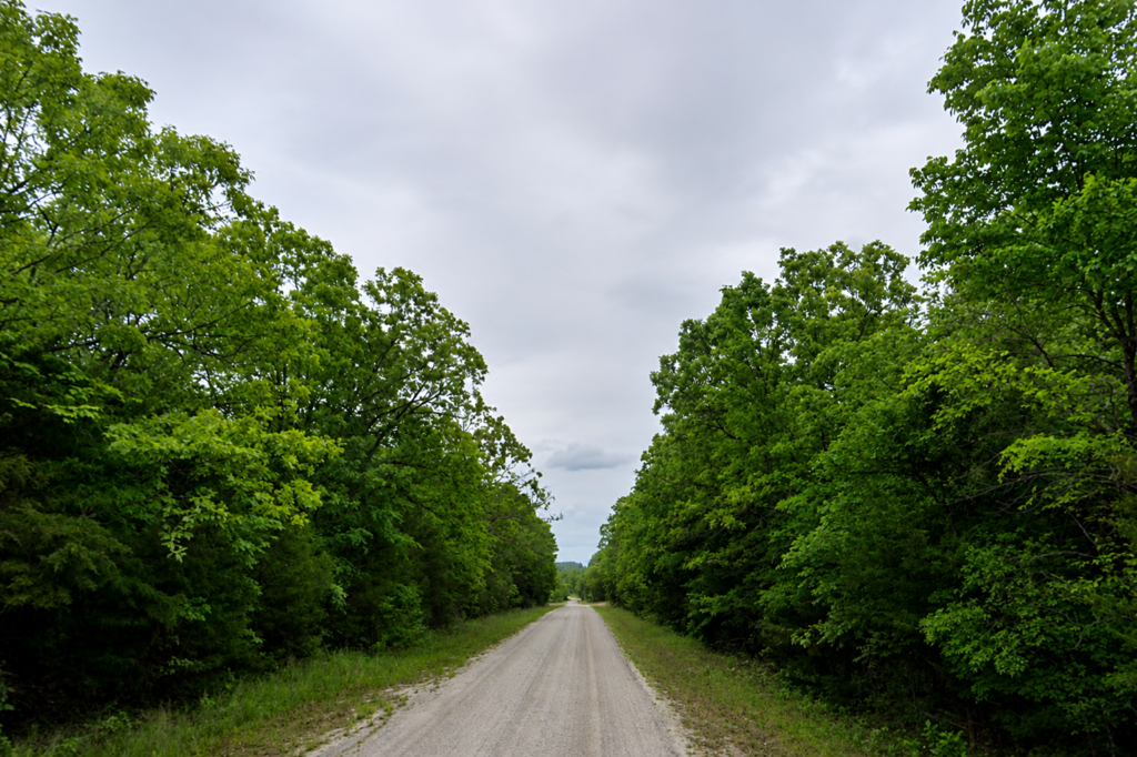 1.00 Acres • Near Lakes & Golf Courses • Land for Sale in Izard County, Arkansas • AR0009