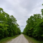 Gallery thumbnail: 1.00 Acres • Near Lakes & Golf Courses • Land for Sale in Izard County, Arkansas • AR0009