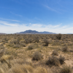 Gallery thumbnail: 0.50 Acre • Near Rockhound State Park & Hiking Trails • Land for Sale in Luna County, New Mexico • NM0023