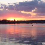 Gallery thumbnail: 0.44 Acre • Quiet Wooded Ozark Lot Near Norfork Lake • Land for Sale in Baxter County, Arkansas • AR0011