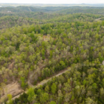 Gallery thumbnail: 0.44 Acre • Quiet Wooded Ozark Lot Near Norfork Lake • Land for Sale in Baxter County, Arkansas • AR0011
