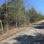 Gallery thumbnail: 0.32 Acres • Paved Access + Utilities in the Area + Near Lakes • Land for Sale in Sharp County, Arkansas • AR0010