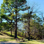 Gallery thumbnail: 0.44 Acre • Quiet Wooded Ozark Lot Near Norfork Lake • Land for Sale in Baxter County, Arkansas • AR0011