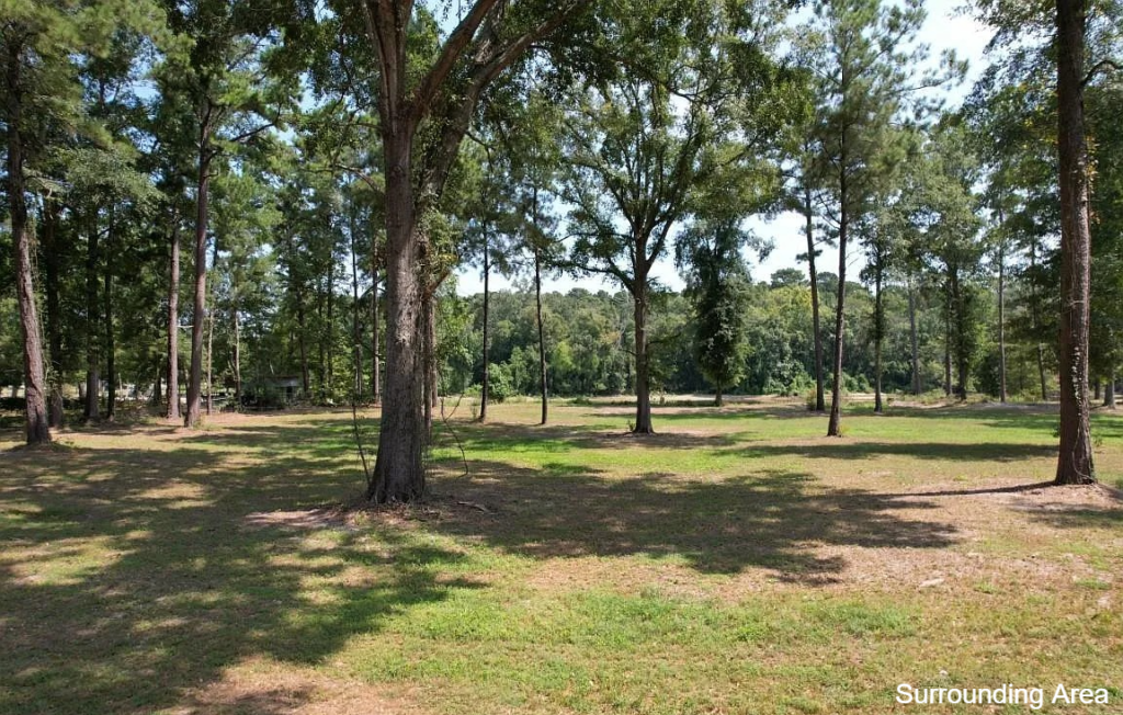11.73 Acres • Wooded East Texas Retreat • Land for Sale in Shelby County, Texas • TX0001