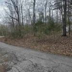 Gallery thumbnail: 0.32 Acres • Paved Access + Utilities in the Area + Near Lakes • Land for Sale in Sharp County, Arkansas • AR0010