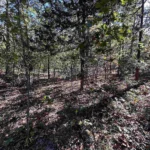 Gallery thumbnail: 1.00 Acres • Near Lakes & Golf Courses • Land for Sale in Izard County, Arkansas • AR0009