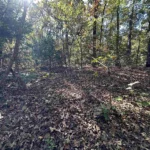 Gallery thumbnail: 1.00 Acres • Near Lakes & Golf Courses • Land for Sale in Izard County, Arkansas • AR0009
