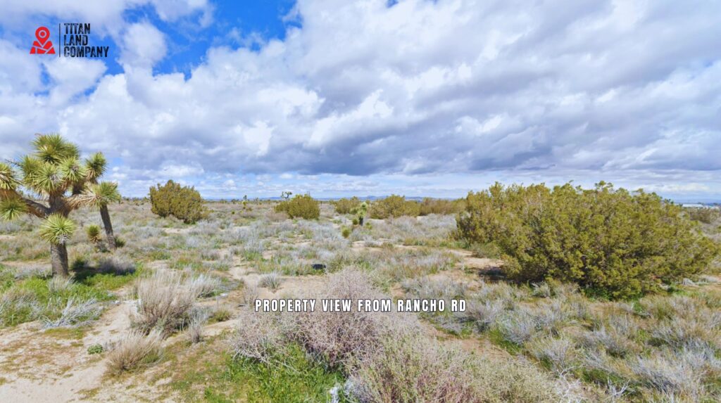 9.08 Acres • Established Phelan Area + Investment Potential • Land for Sale in San Bernardino County, CA • CA0001