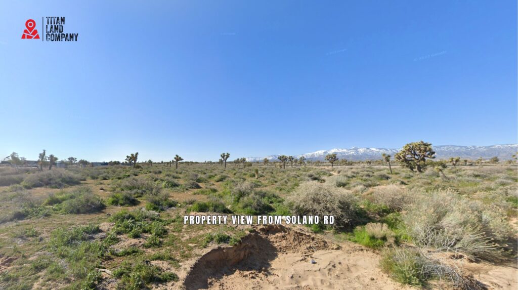 9.08 Acres • Established Phelan Area + Investment Potential • Land for Sale in San Bernardino County, CA • CA0001