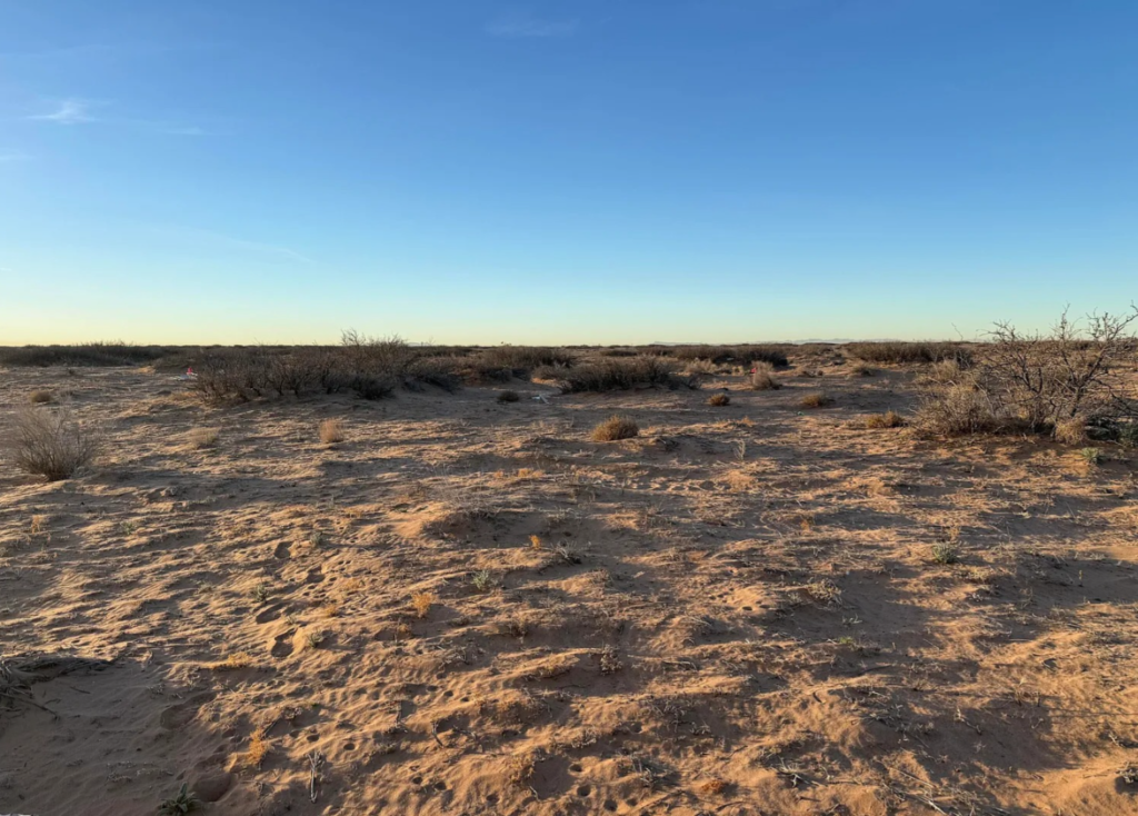 0.49 Acres • Near John Hayes & Montwood • Land for Sale in El Paso County, Texas • TX0015