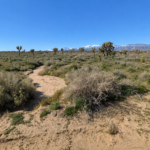 Gallery thumbnail: 9.08 Acres • Established Phelan Area + Investment Potential • Land for Sale in San Bernardino County, CA • CA0001