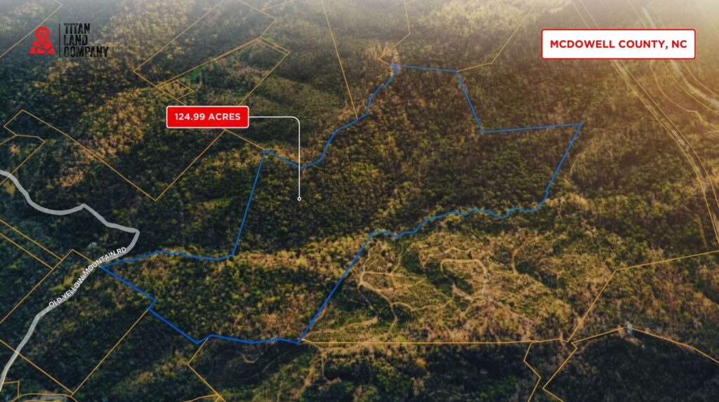 124.99 Acres • Rare Large-Acreage Secluded Mountain Land with Creek • Land for Sale in McDowell County, North Carolina • NC0002