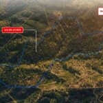 Gallery thumbnail: 124.99 Acres • Rare Large-Acreage Secluded Mountain Land with Creek • Land for Sale in McDowell County, North Carolina • NC0002