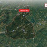 Gallery thumbnail: 124.99 Acres • Rare Large-Acreage Secluded Mountain Land with Creek • Land for Sale in McDowell County, North Carolina • NC0002