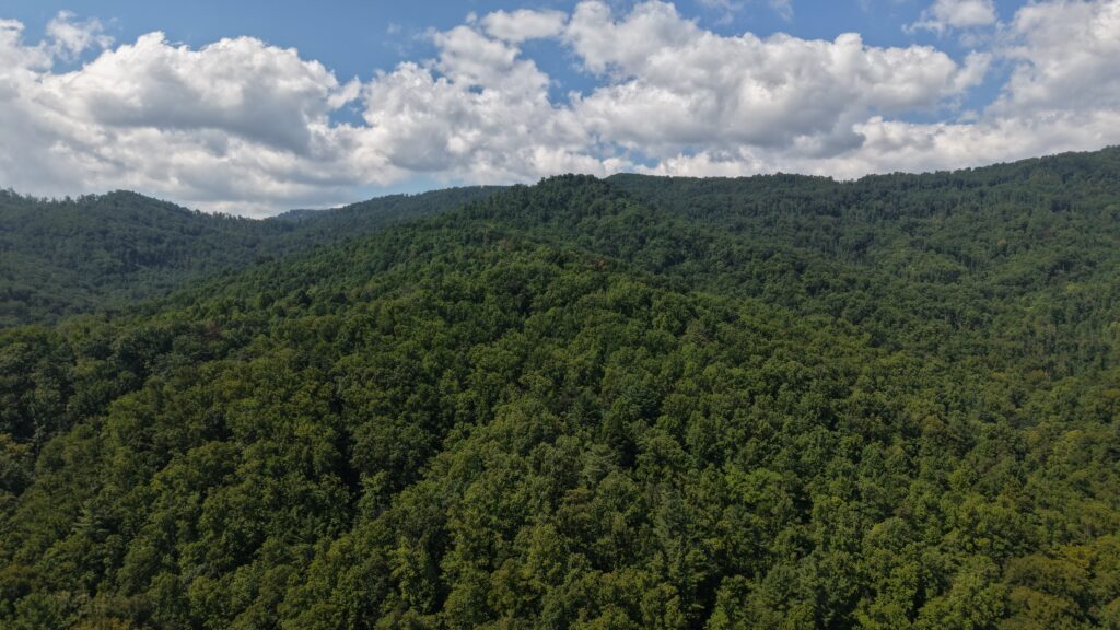 124.99 Acres • Rare Large-Acreage Secluded Mountain Land with Creek • Land for Sale in McDowell County, North Carolina • NC0002