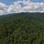 Gallery thumbnail: 124.99 Acres • Rare Large-Acreage Secluded Mountain Land with Creek • Land for Sale in McDowell County, North Carolina • NC0002