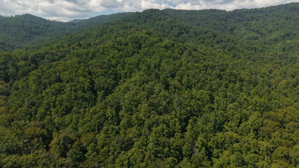 124.99 Acres • Rare Large-Acreage Secluded Mountain Land with Creek • Land for Sale in McDowell County, North Carolina • NC0002