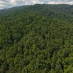 Gallery thumbnail: 124.99 Acres • Rare Large-Acreage Secluded Mountain Land with Creek • Land for Sale in McDowell County, North Carolina • NC0002