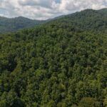 Gallery thumbnail: 124.99 Acres • Rare Large-Acreage Secluded Mountain Land with Creek • Land for Sale in McDowell County, North Carolina • NC0002