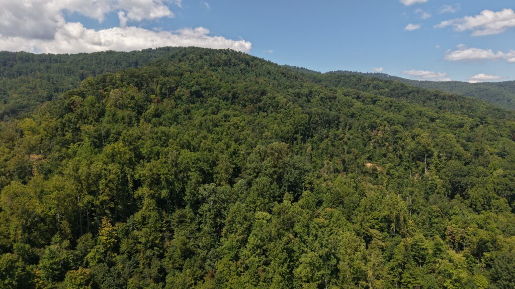 124.99 Acres • Rare Large-Acreage Secluded Mountain Land with Creek • Land for Sale in McDowell County, North Carolina • NC0002