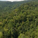 Gallery thumbnail: 124.99 Acres • Rare Large-Acreage Secluded Mountain Land with Creek • Land for Sale in McDowell County, North Carolina • NC0002