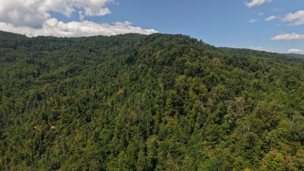 124.99 Acres • Rare Large-Acreage Secluded Mountain Land with Creek • Land for Sale in McDowell County, North Carolina • NC0002