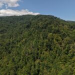 Gallery thumbnail: 124.99 Acres • Rare Large-Acreage Secluded Mountain Land with Creek • Land for Sale in McDowell County, North Carolina • NC0002