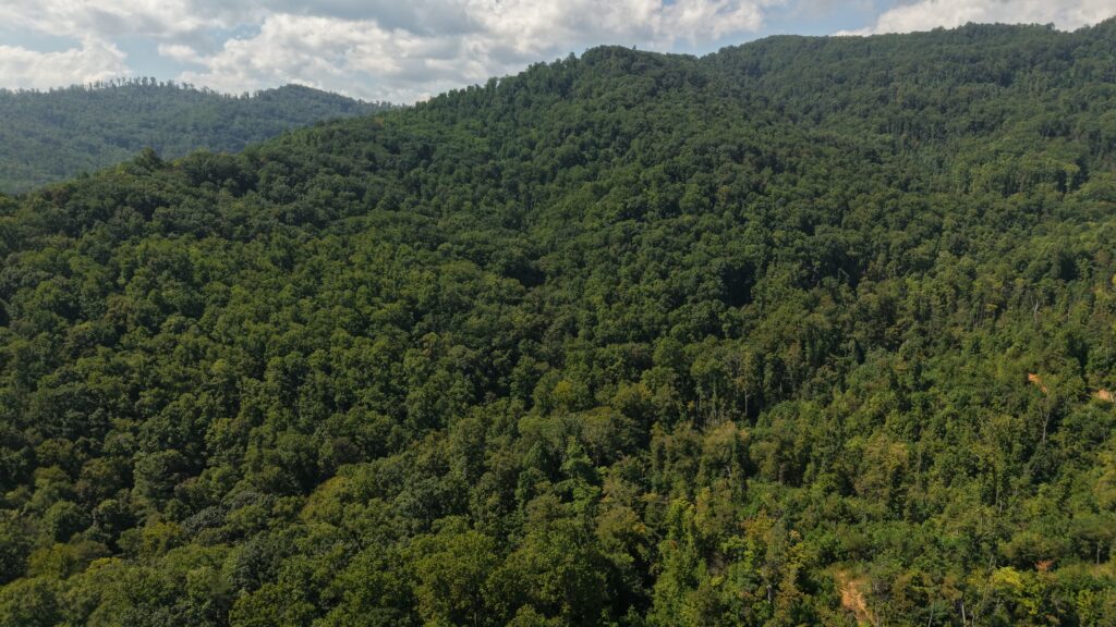 124.99 Acres • Rare Large-Acreage Secluded Mountain Land with Creek • Land for Sale in McDowell County, North Carolina • NC0002