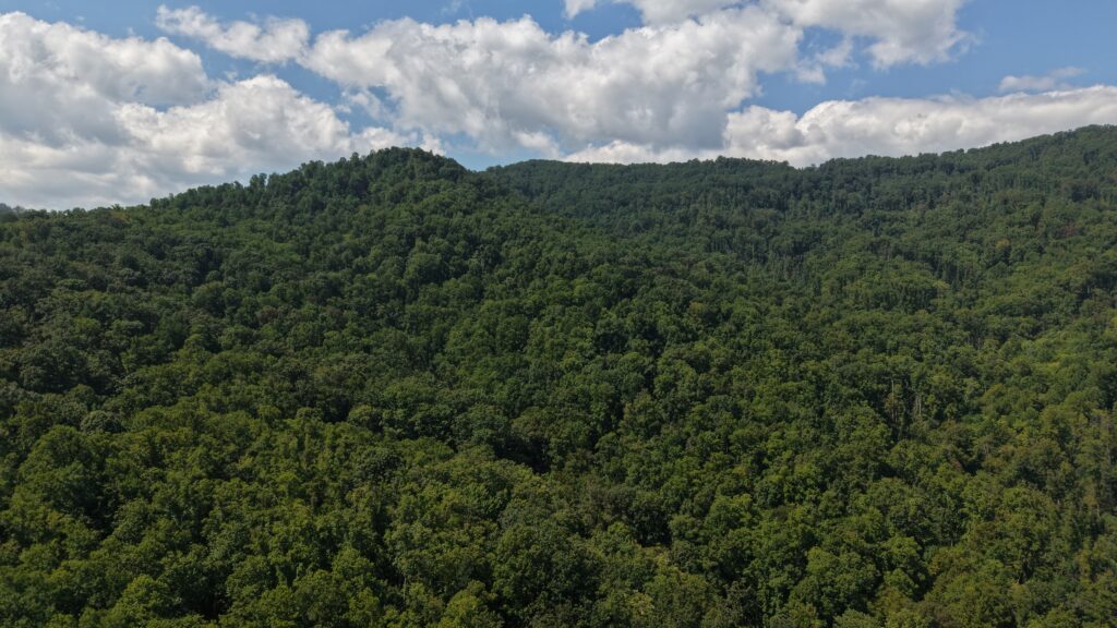 124.99 Acres • Rare Large-Acreage Secluded Mountain Land with Creek • Land for Sale in McDowell County, North Carolina • NC0002