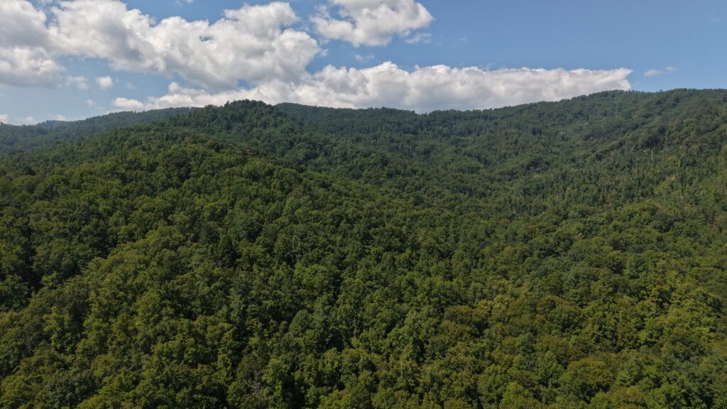 124.99 Acres • Rare Large-Acreage Secluded Mountain Land with Creek • Land for Sale in McDowell County, North Carolina • NC0002