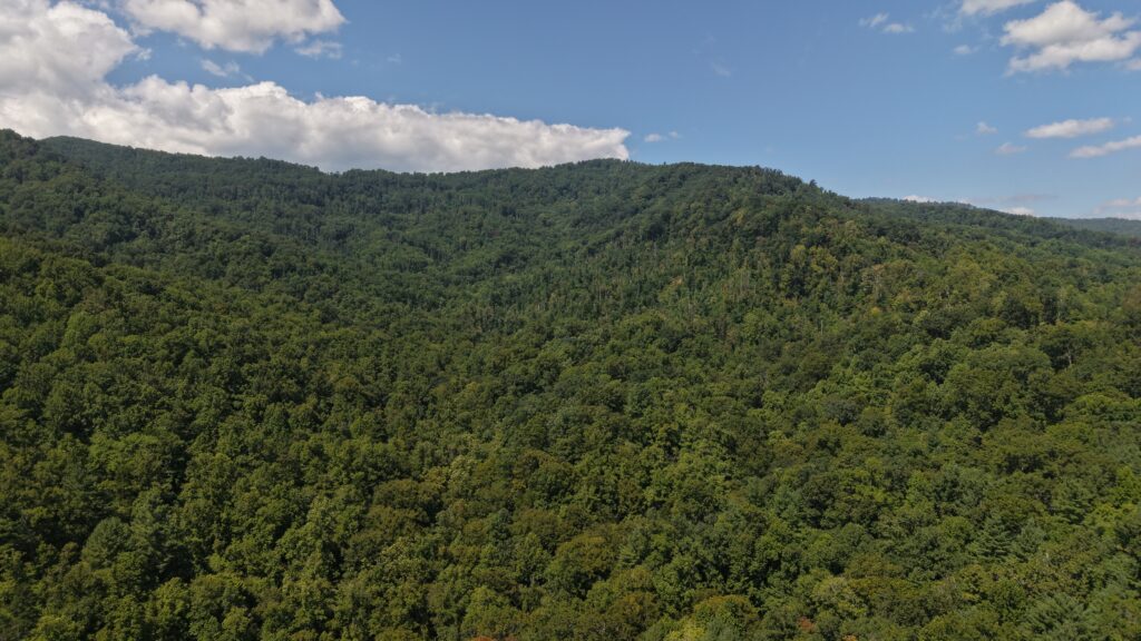 124.99 Acres • Rare Large-Acreage Secluded Mountain Land with Creek • Land for Sale in McDowell County, North Carolina • NC0002