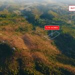 Gallery thumbnail: 5.75 Acres • Mountain Community Setting • Land for Sale in Rutherford County, North Carolina • NC0004
